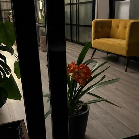 Apartman Large Modern Industrial Loft Close To Beaches